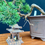 Thumbnail: Shimpaku Bonsai 20 years