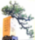 z8014091858812_6808a7f69bccdcb89f324b0e3bee46f7.jpg