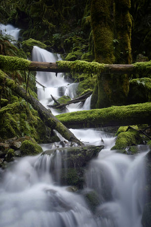 

goldstream provincial park waterfall 