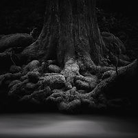 IMG_8580.JPG