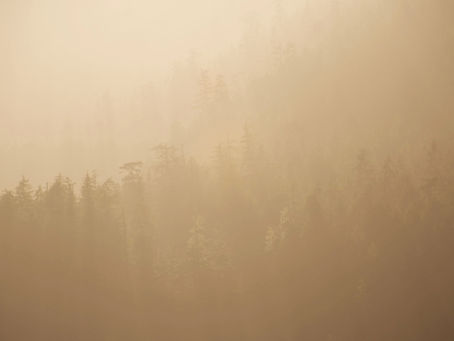 Why editing your photos should be your thing