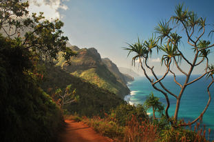 fine art photography prints photographer educator workshops 
First miles of the Kalalau trail on Kauai  trail hike vista 