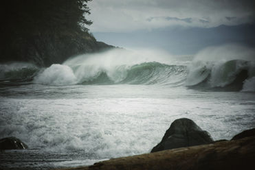 vancouver island photo tours