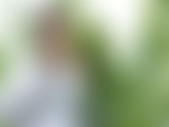 Die Unterschiede zwischen CBD und THC?