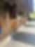 Equestrian, horse stables
