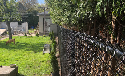 chain link fence guelph