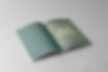 mockup revista abierta con portada de enero.png