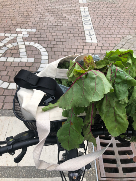 bike with fresh vegetables in basket