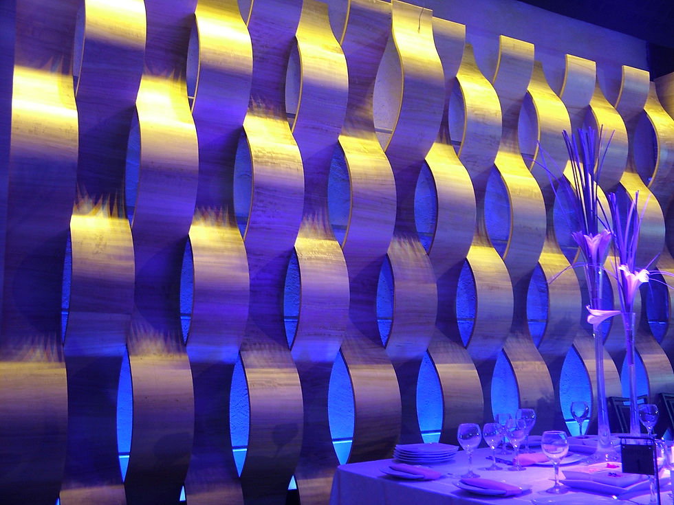 רן בלנדר | Hanesicha Event Center
