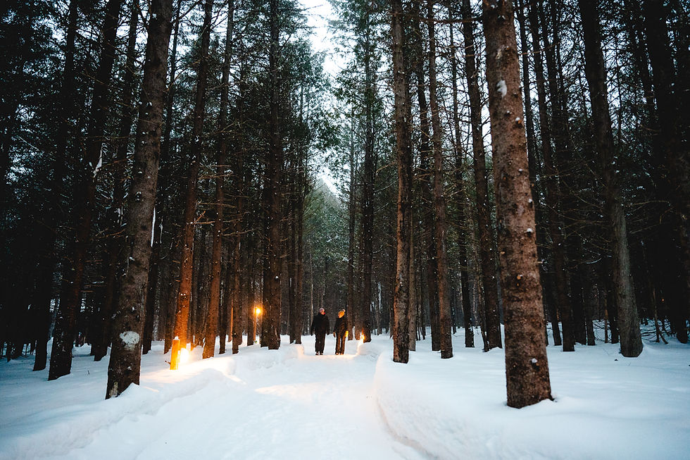 Marche en sentier hiver gaspésie