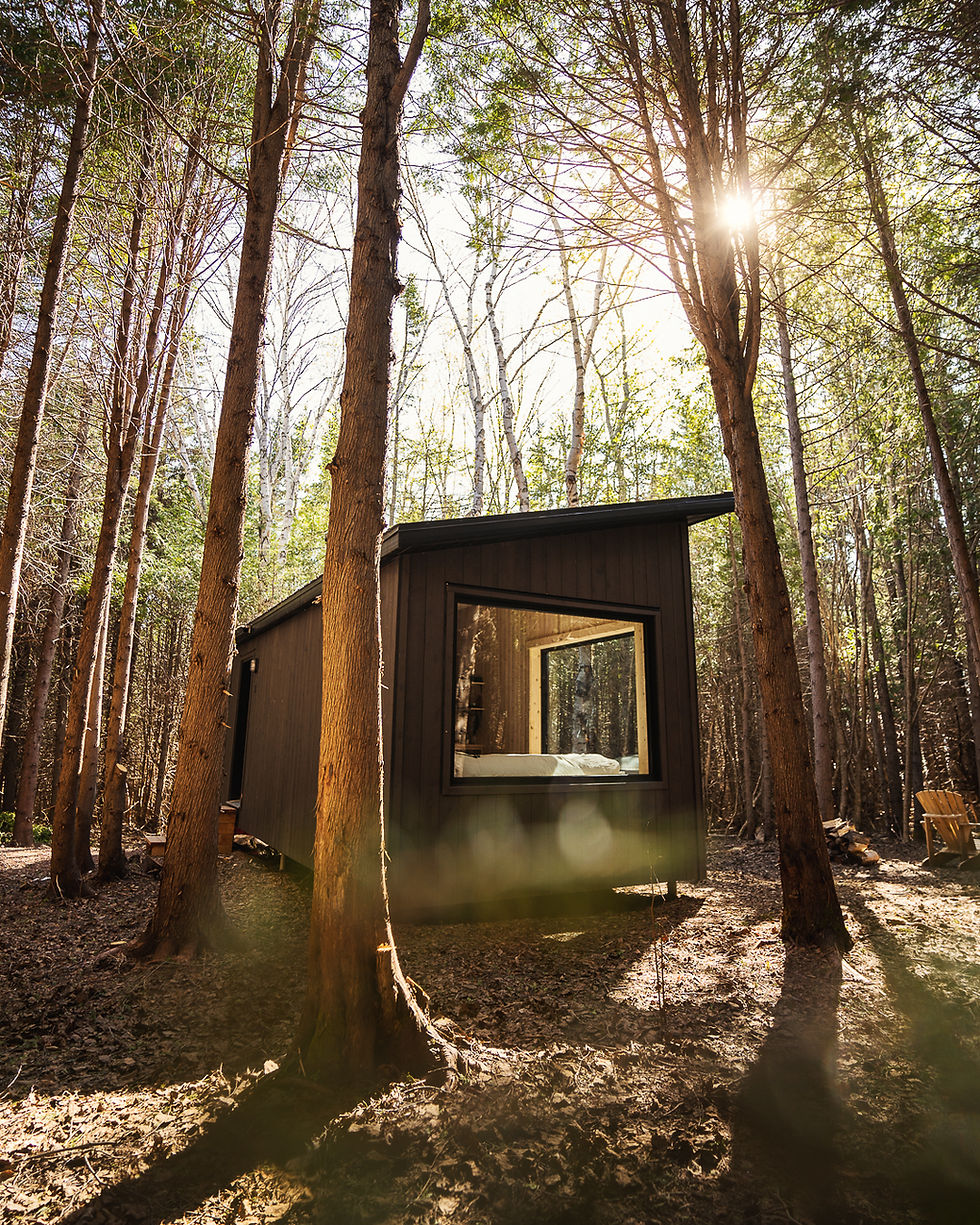 Cabine en nature Gaspésie