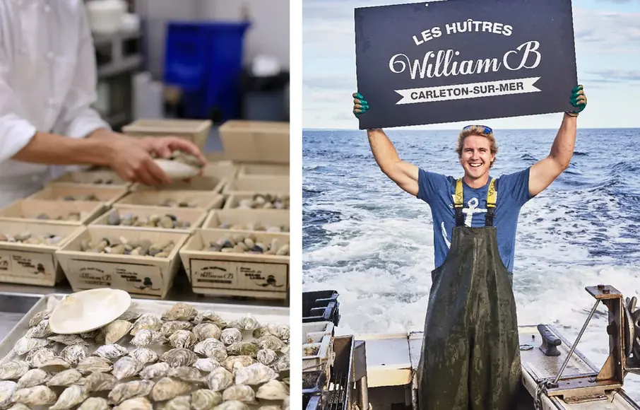 Produit gastronomique, huitres, moules, frais pêchés.