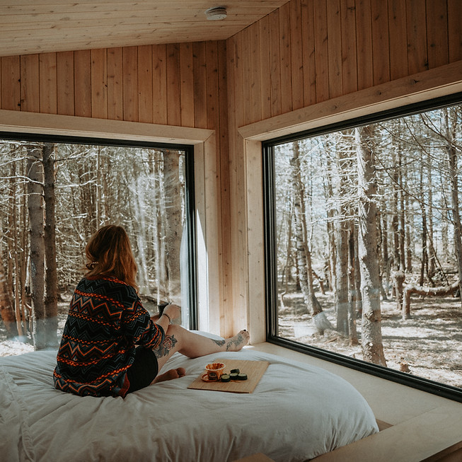 Chalet dans la nature éco-responsable