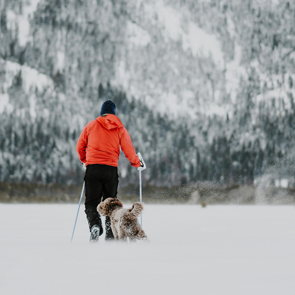 Sortie de ski en gaspésie