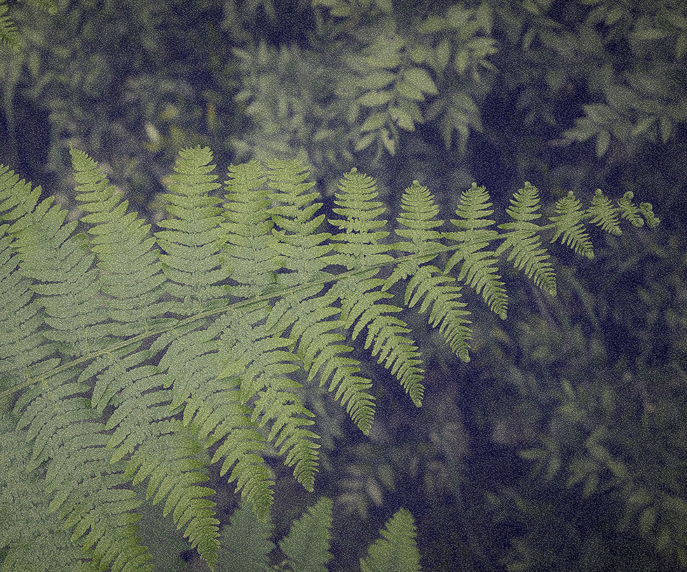 Les 4 saisons de TerrAgree