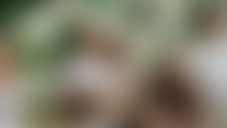 Comment choisir son photographe de mariage : les 10 critères essentiels