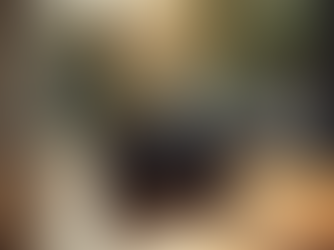 Comment calculer ses tarifs de photographe en 2026 : la méthode complète