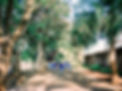 Africa -0235_websize.jpg