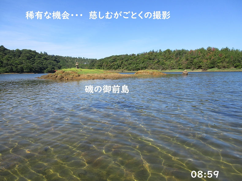 250906-0859b.JPG