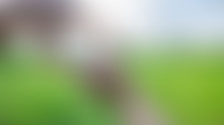 Taking Land is Pointless if it Won't End Up in the Right Hands