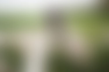 Calling all creatives: show us what life in rural Australia means to you!