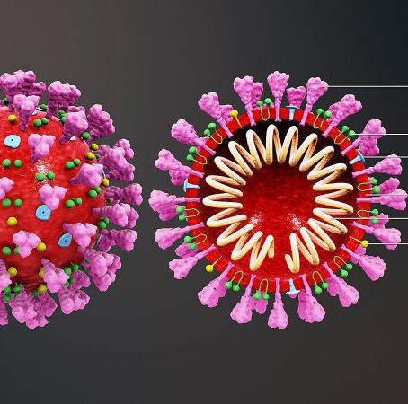 Global Pandemic (COVID-19) updates
