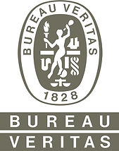 Bureau Veritas Logo Gray.jpg
