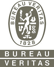 Bureau Veritas Logo Gray.jpg