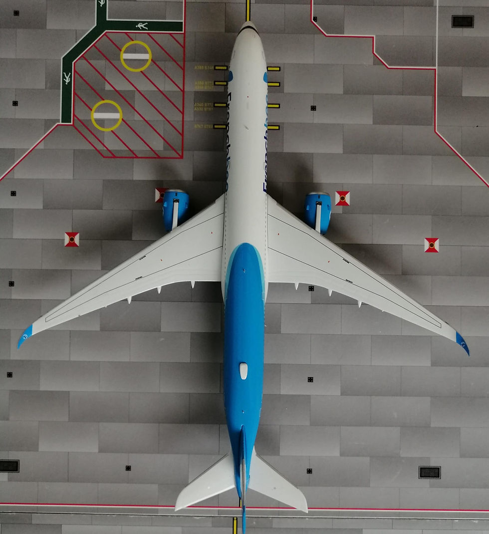 縮圖：AERO POLARIS FRENCH BEE AIRBUS A350-10000 F-HMIB 1400