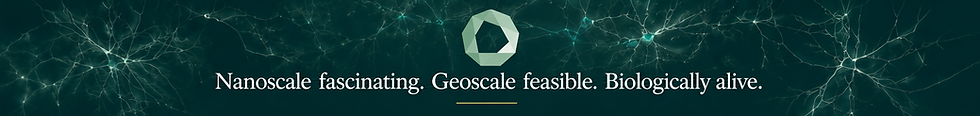 7232a76c-961e-4e08-9e42-3545e6cb62ad.png