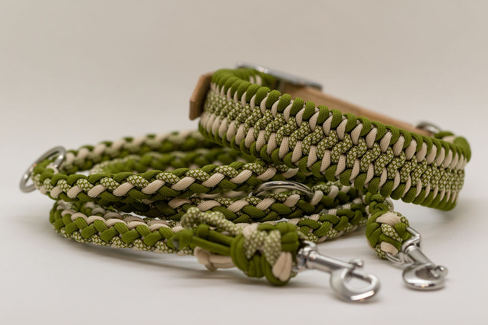 Miniaturbild: Paracord Leine, 2m