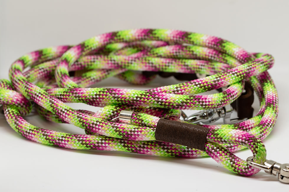 Miniaturbild: Premium PPM Leine