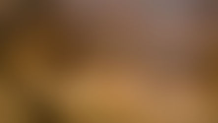 Posible 'santuario' para el padre fundador de Roma, Romulus, descubierto en las antiguas ruinas