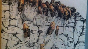 El camino económico hacia adelante puede conducir a un acantilado