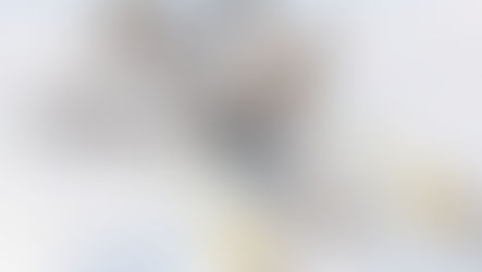 apoyaron a Obama matando a estadounidenses con drones, pero se oponen a Trump matando terroristas