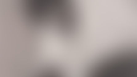 Von Greyerz: el incendio forestal mundial está aquí