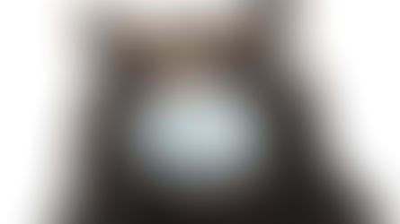 Cisnes negros, gatos muertos, murciélagos vivos y un adiós a todo eso