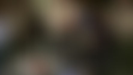 La ex estrella de la NBA Kobe Bryant y su hija entre los nueve muertos en accidente de helicóptero