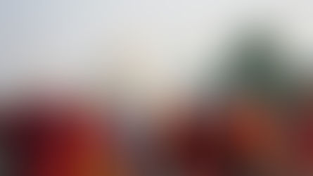 Rabobank: más de 100 millones podrían estar encerrados en India