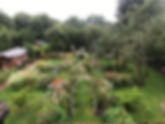 IMG_4783.jpeg