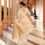 Thumbnail: Traditional Banarasi  Silk Sari - Cream
