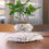 Thumbnail: Levitating Air Bonsai Pot: Floating Plant Pot for Home Decoration