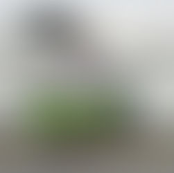 【2025年度第2回大阪小学生陸上競技記録会】