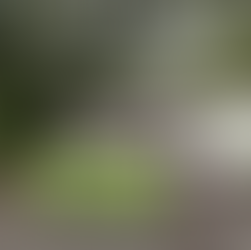 【2026年度第1回記録会】