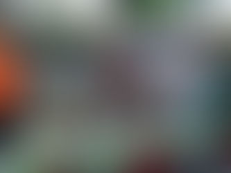 Glasfaserausbau aus einer Hand: Von der Trassenplanung bis zum Hausanschluss