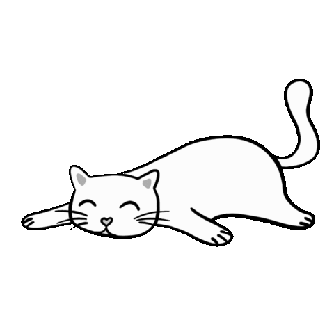 venta de gatos exoticos