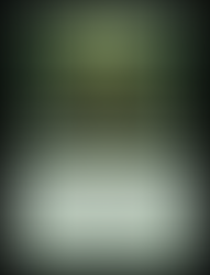 ダブルマスターズ2022が来る。