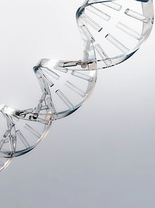 DNA Strand_edited.jpg