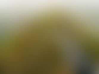 Çin sünger kentler yapacak