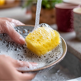 lemon30819_one_hand_holding_the_plate_and_the_other_hand_scrubb_fc75d144-0cf2-49be-af58-1d